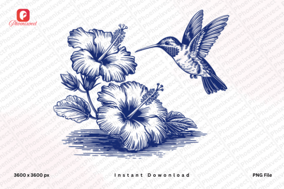 Reviving Botanical Elegance: The Art of Vintage Hibiscus Hummingbird PNG