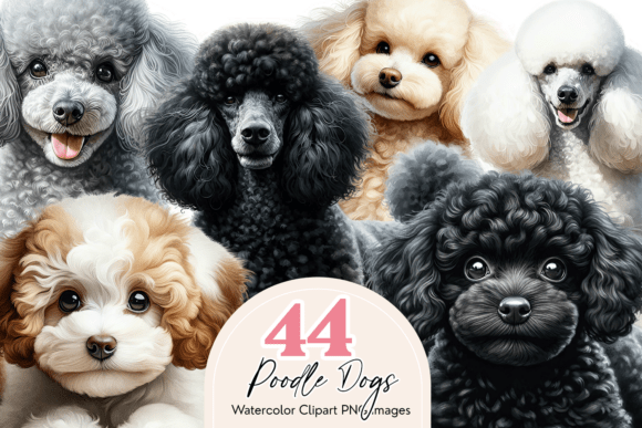 Unlocking Creative Potential with the Poodle Clipart Bundle: 44 Watercolor Dog Designs for Modern Digital Art